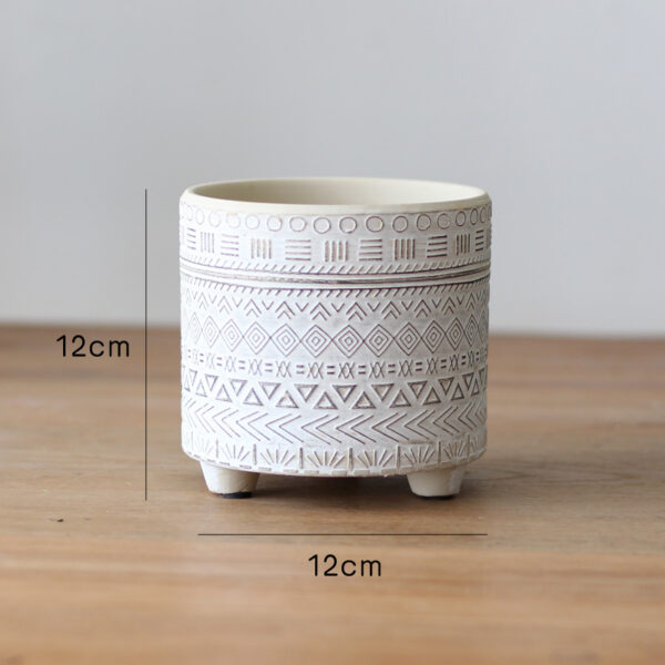 Plant garden balcony flower