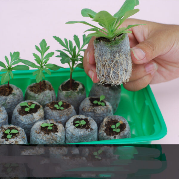 1620298177829.jpg Gardening Tools Succulent Gardening Supplies Set Combination Planting Flowers Green Plants Succulents Tools