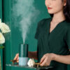 1620801315067.jpg USB Charging Dmall Household Mute Desktop Humidifier